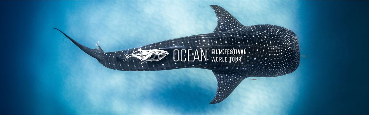 Ocean Film Festival World Tour 2027